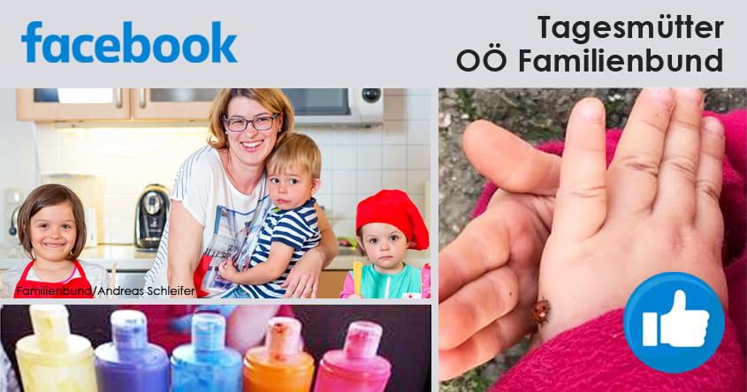 Besucht die OÖ Familienbund-Tagesmütter auf Facebook!